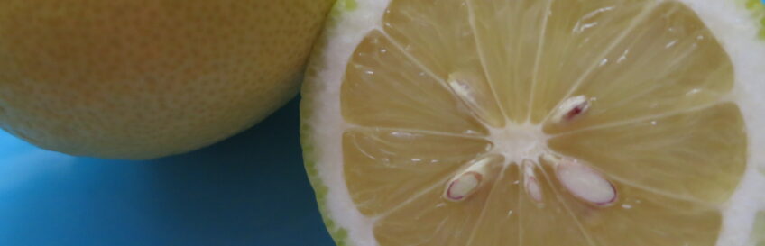 Zitrone – am Morgen, vertreibt Kummer und Sorgen